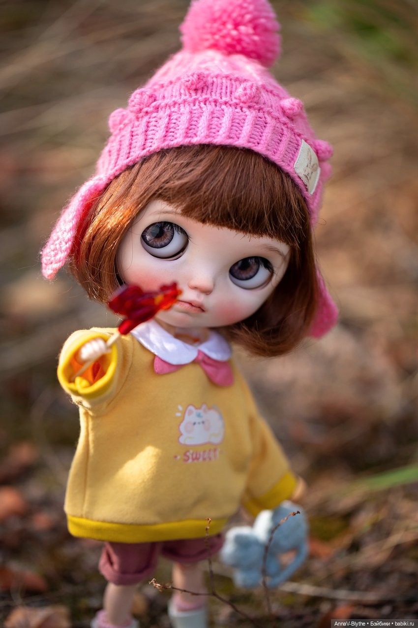 Коллекция кастомов Blythe