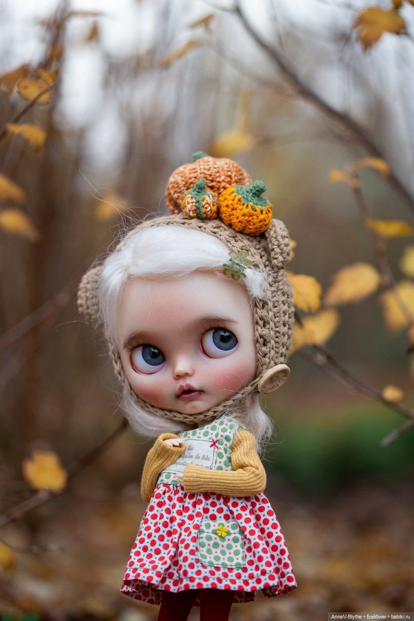 Коллекция кастомов Blythe