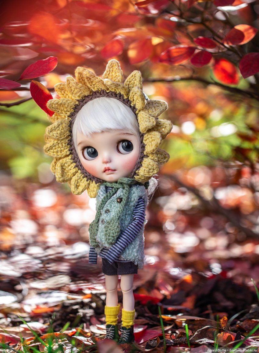 Коллекция кастомов Blythe