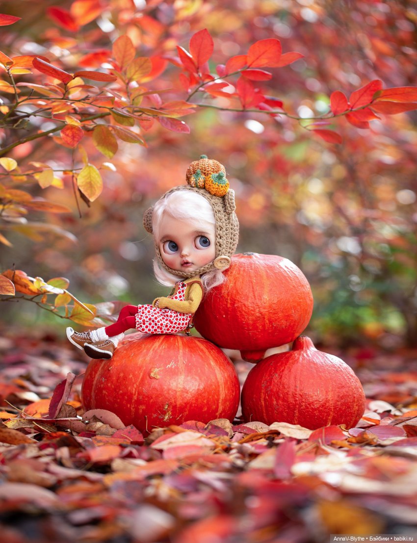 Коллекция кастомов Blythe