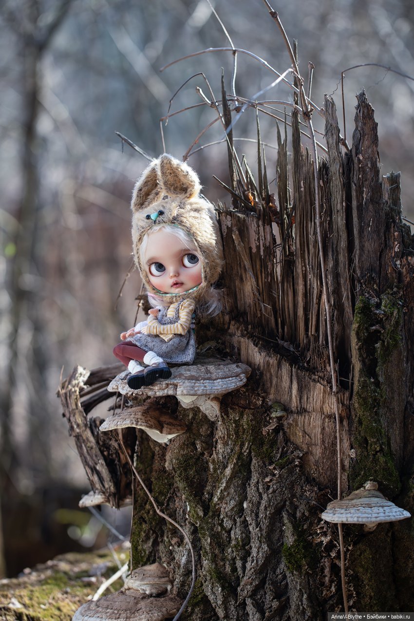 Коллекция кастомов Blythe