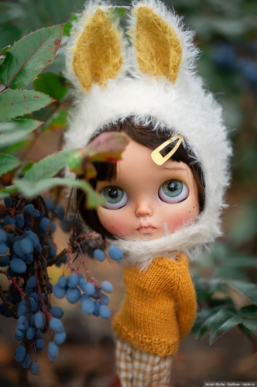 Коллекция кастомов Blythe (фото 5)