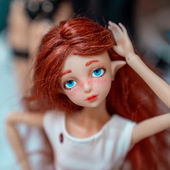 Мой стол с выставки Doll Stock