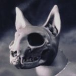 BJD некрокот (вторая версия)