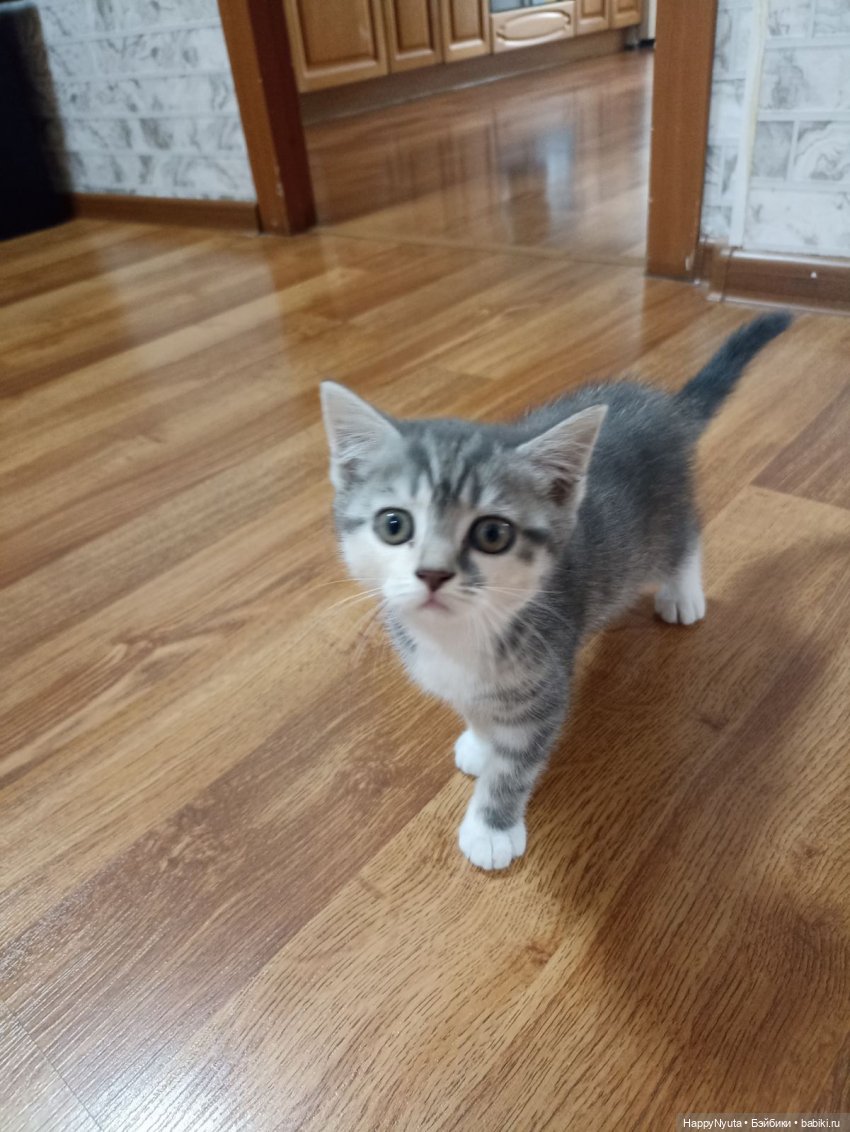 Вооот))) моя Бусенция ☺