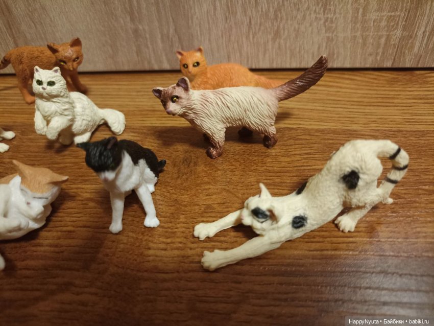 Кошечки, котики, котята🐱🐈 (фото 6)