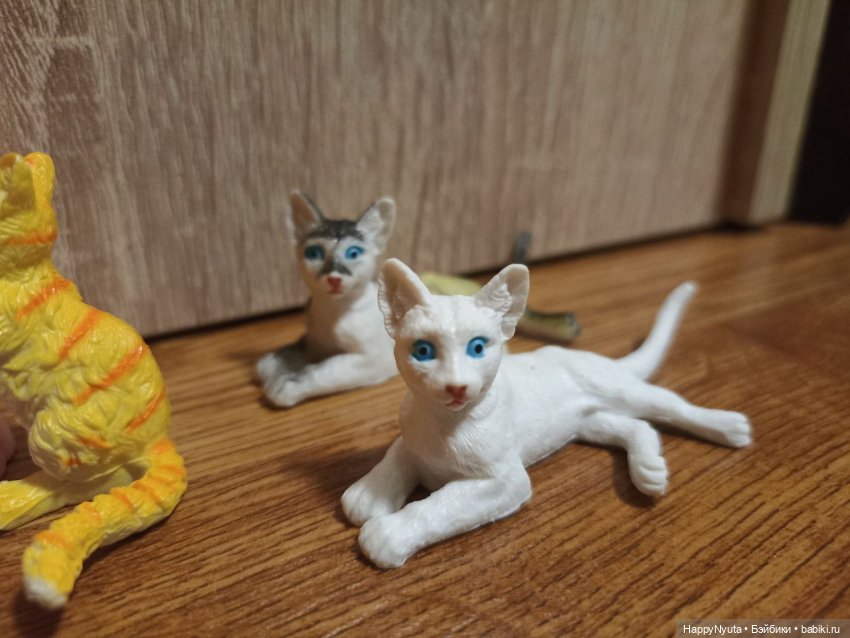 Кошечки, котики, котята🐱🐈