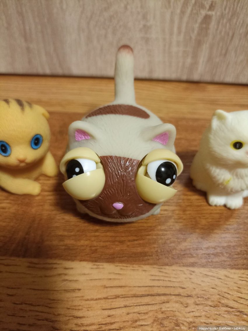 Кошечки, котики, котята🐱🐈 (фото 8)