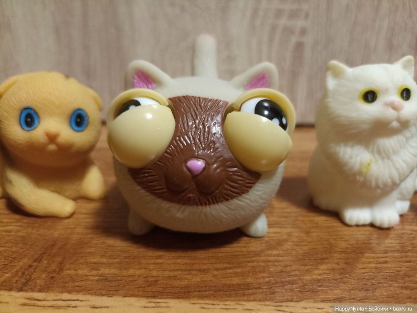 Кошечки, котики, котята🐱🐈