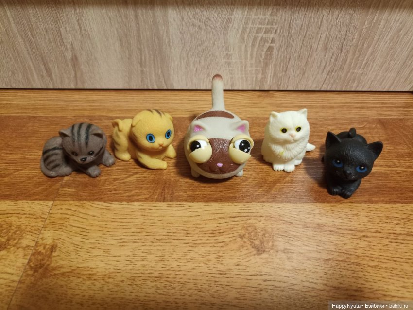 Кошечки, котики, котята🐱🐈 (фото 7)