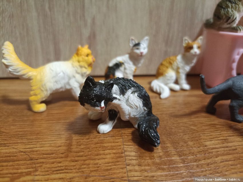 Кошечки, котики, котята🐱🐈