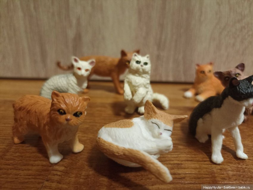 Кошечки, котики, котята🐱🐈 (фото 5)