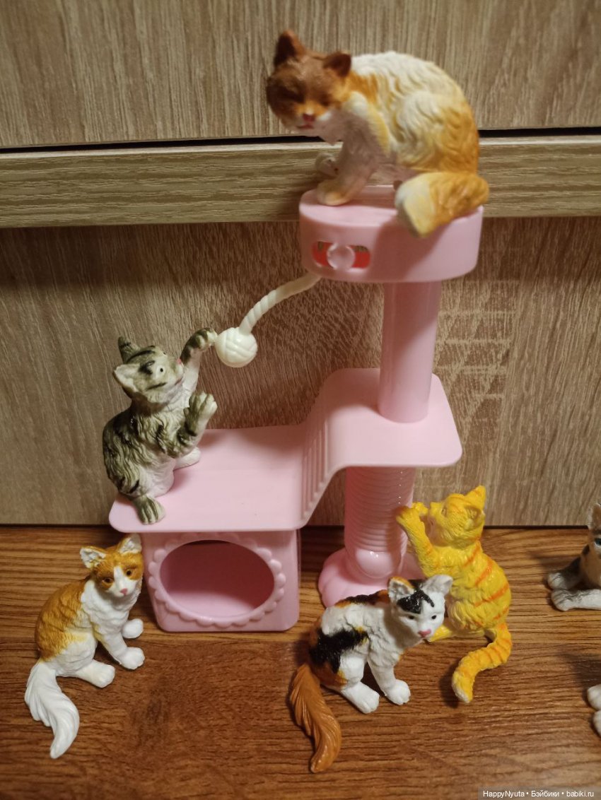 Кошечки, котики, котята🐱🐈