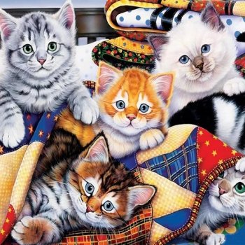 Кошечки, котики, котята🐱🐈