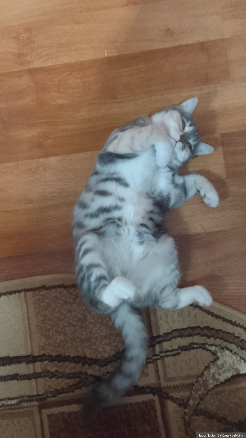 Анютка😍 — Игровые куклы разных производителей (Разное): редкие бренды (фото 6)