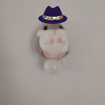 Мистер Хомяка😁