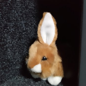 Зайчик в норке