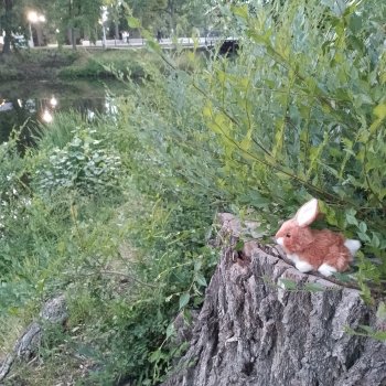 Вечерний вид