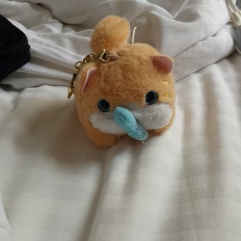 Кот Василий в отеле