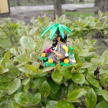 Лего джунгли