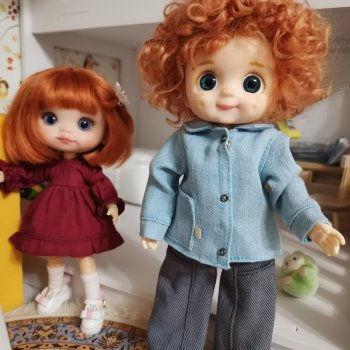 Рыжики дома