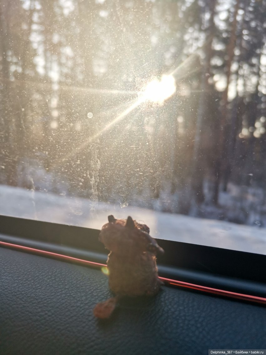 Первое путешествие Вари и Чудика (фото 5)