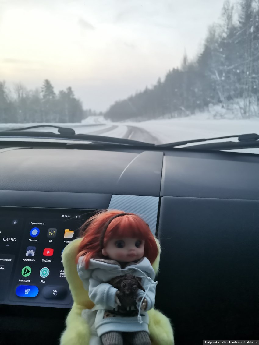 Первое путешествие Вари и Чудика (фото 2)