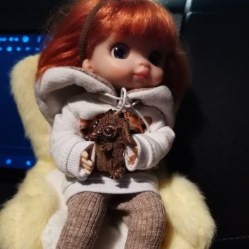 Первое путешествие Вари и Чудика