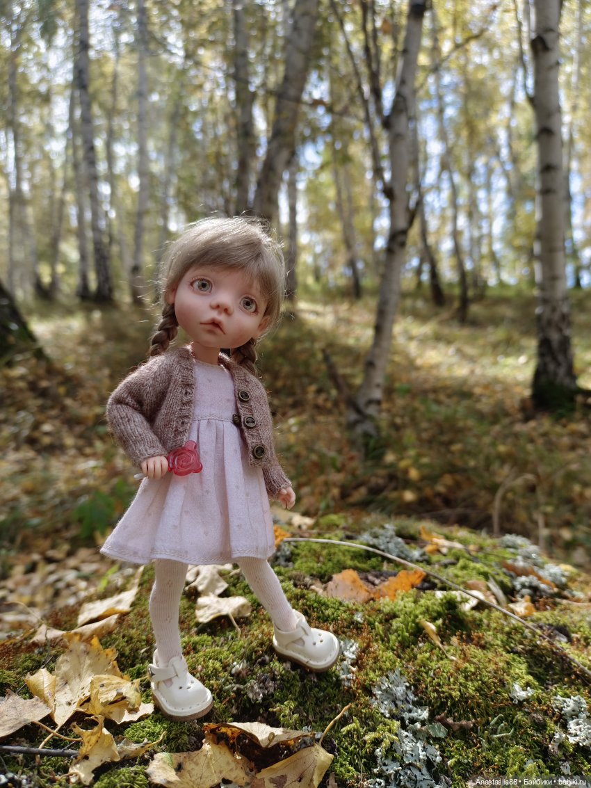Первая осень Аси — Авторские куклы BJD (БЖД) у нас дома: фото