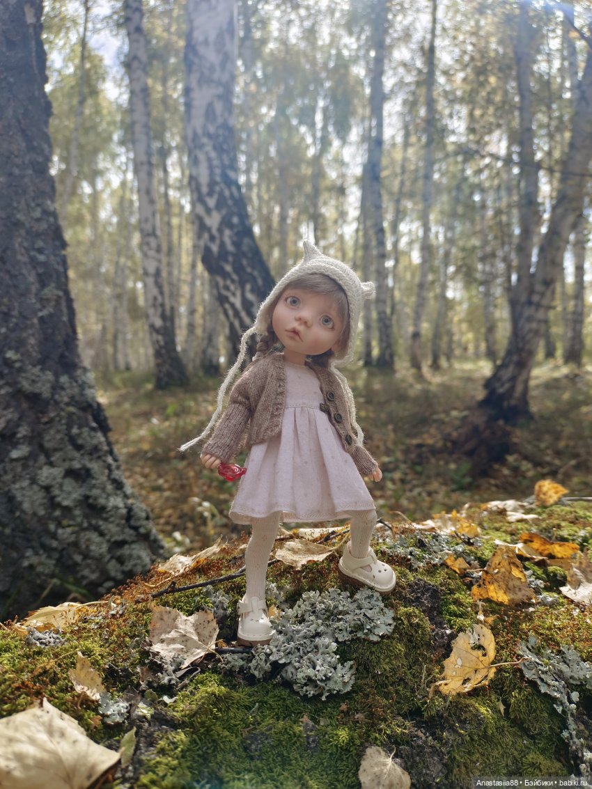 Первая осень Аси — Авторские куклы BJD (БЖД) у нас дома: фото