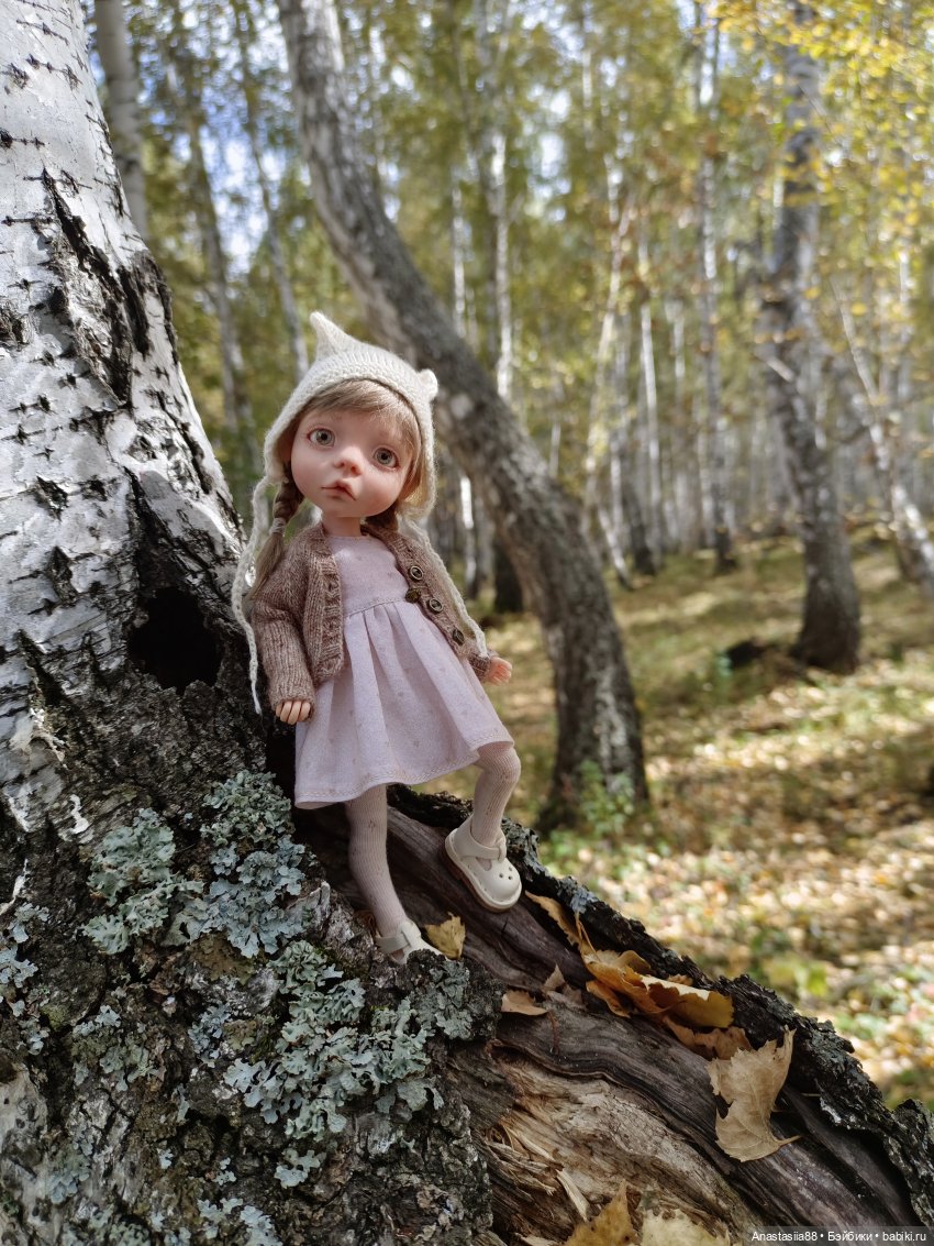 Первая осень Аси — Авторские куклы BJD (БЖД) у нас дома: фото (фото 3)