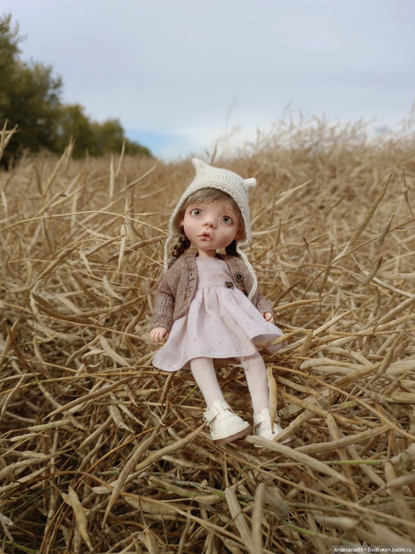 Первая осень Аси — Авторские куклы BJD (БЖД) у нас дома: фото