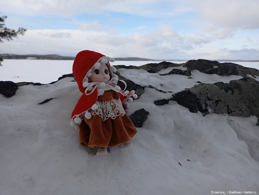 Девочка в красном — Игровые куклы разных производителей (Разное): редкие бренды (фото 4)