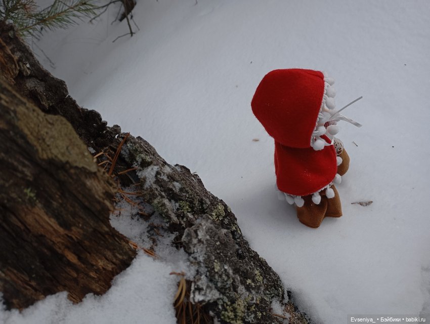 Девочка в красном — Игровые куклы разных производителей (Разное): редкие бренды (фото 9)