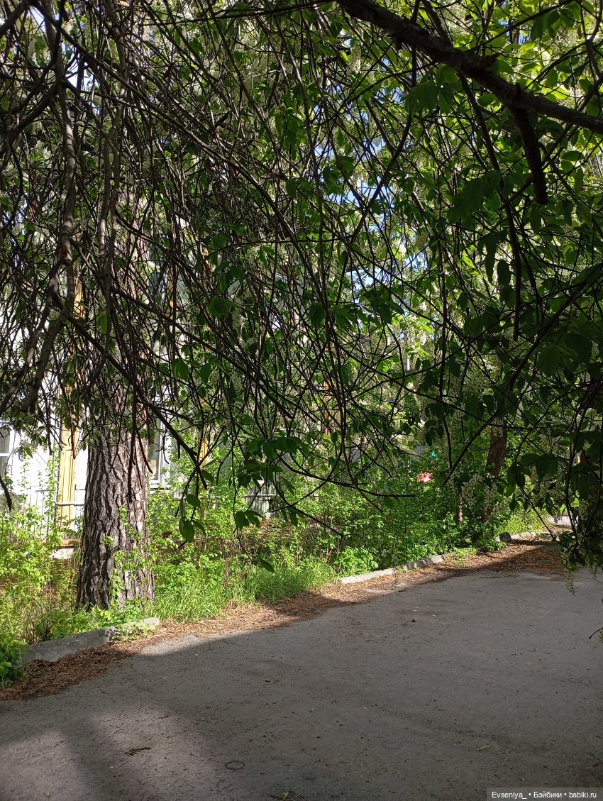 Солнечное детство — Игровые куклы разных производителей (Разное): редкие бренды