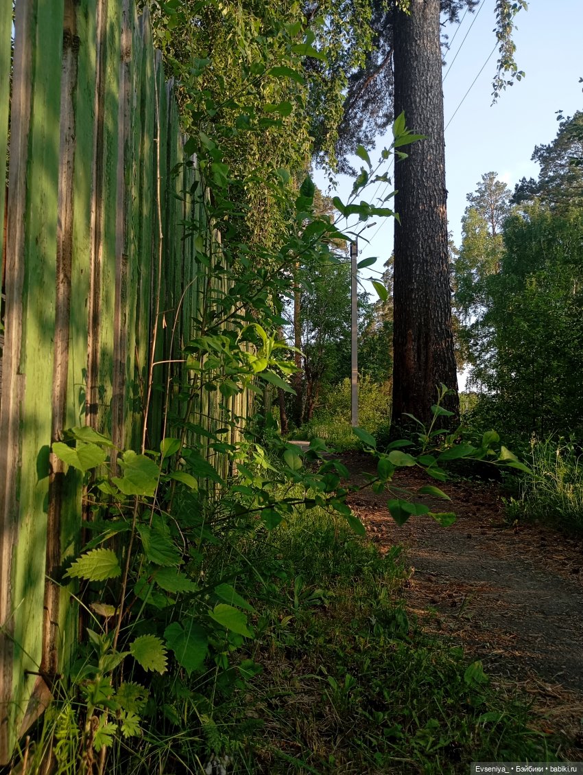 Летняя пора — Игровые куклы разных производителей (Разное): редкие бренды (фото 9)