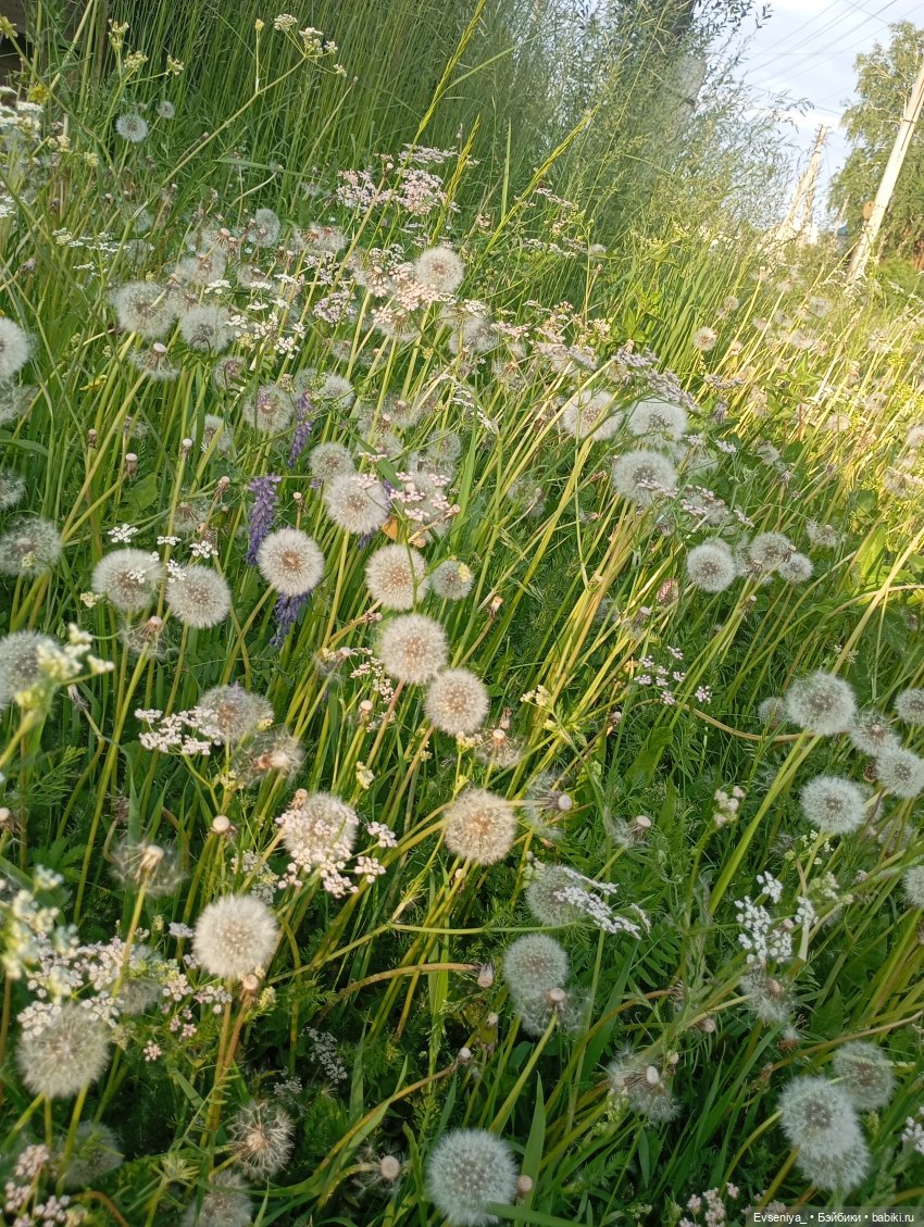 Летняя пора — Игровые куклы разных производителей (Разное): редкие бренды