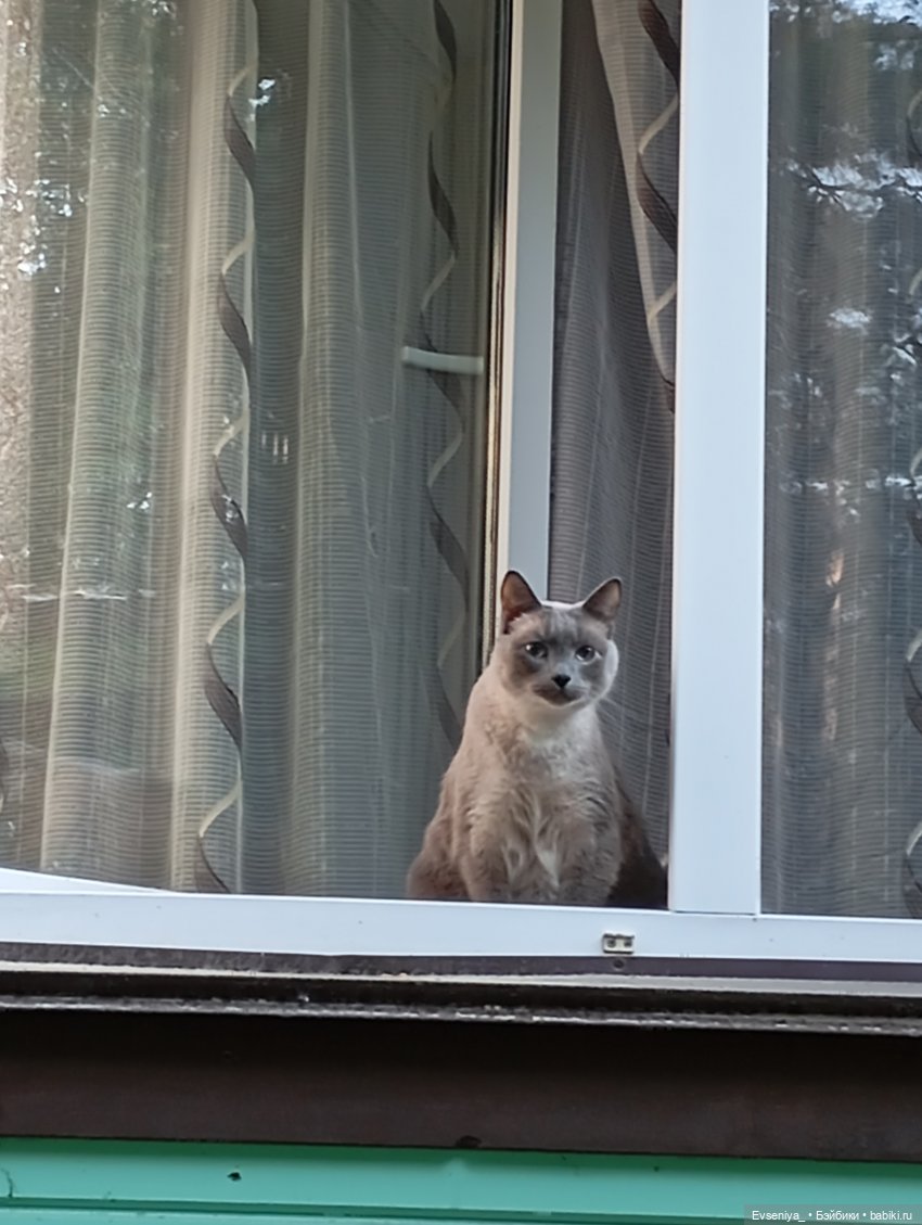 Летняя пора — Игровые куклы разных производителей (Разное): редкие бренды (фото 5)