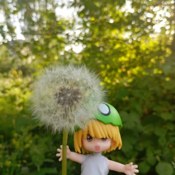 Летняя пора