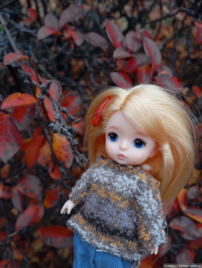 Тихая осень — Игровые куклы разных производителей (Разное): редкие бренды (фото 2)