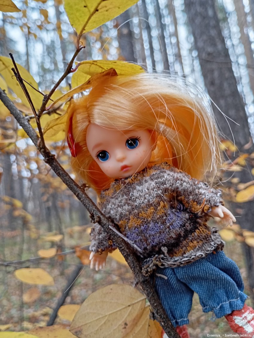 Тихая осень — Игровые куклы разных производителей (Разное): редкие бренды
