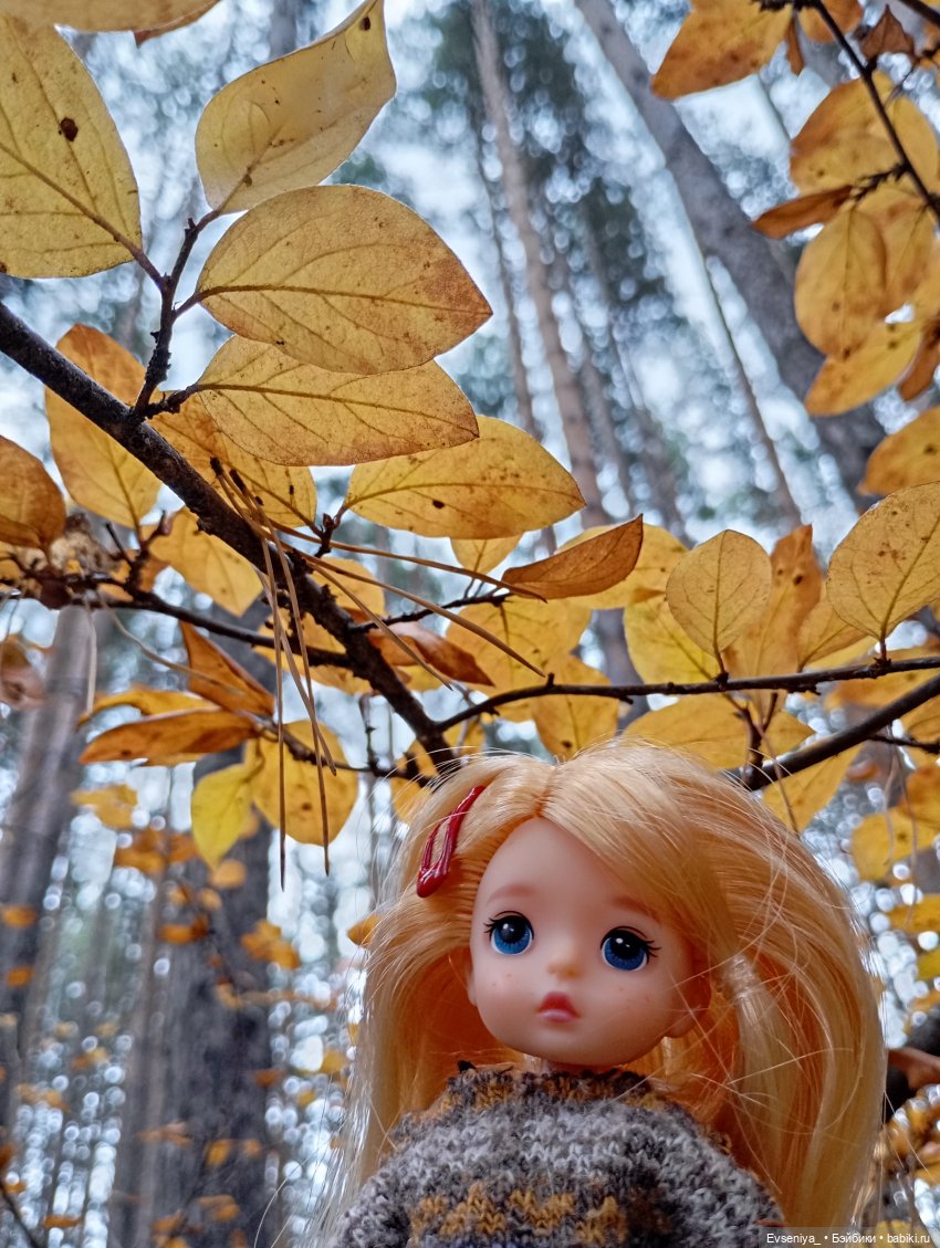 Тихая осень — Игровые куклы разных производителей (Разное): редкие бренды (фото 10)