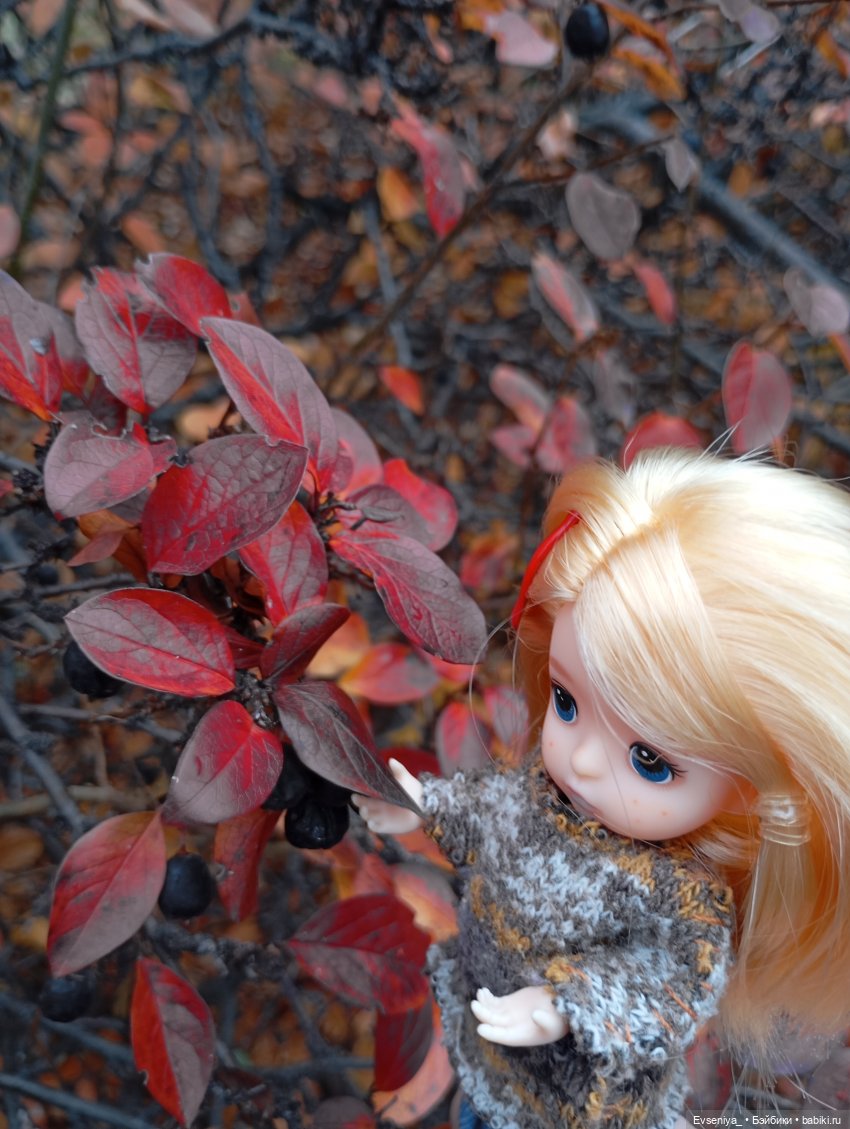 Тихая осень — Игровые куклы разных производителей (Разное): редкие бренды (фото 3)