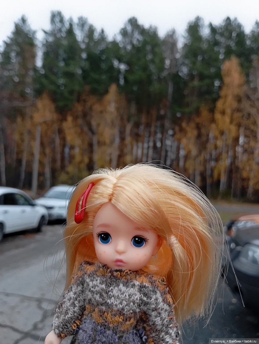 Тихая осень — Игровые куклы разных производителей (Разное): редкие бренды (фото 9)