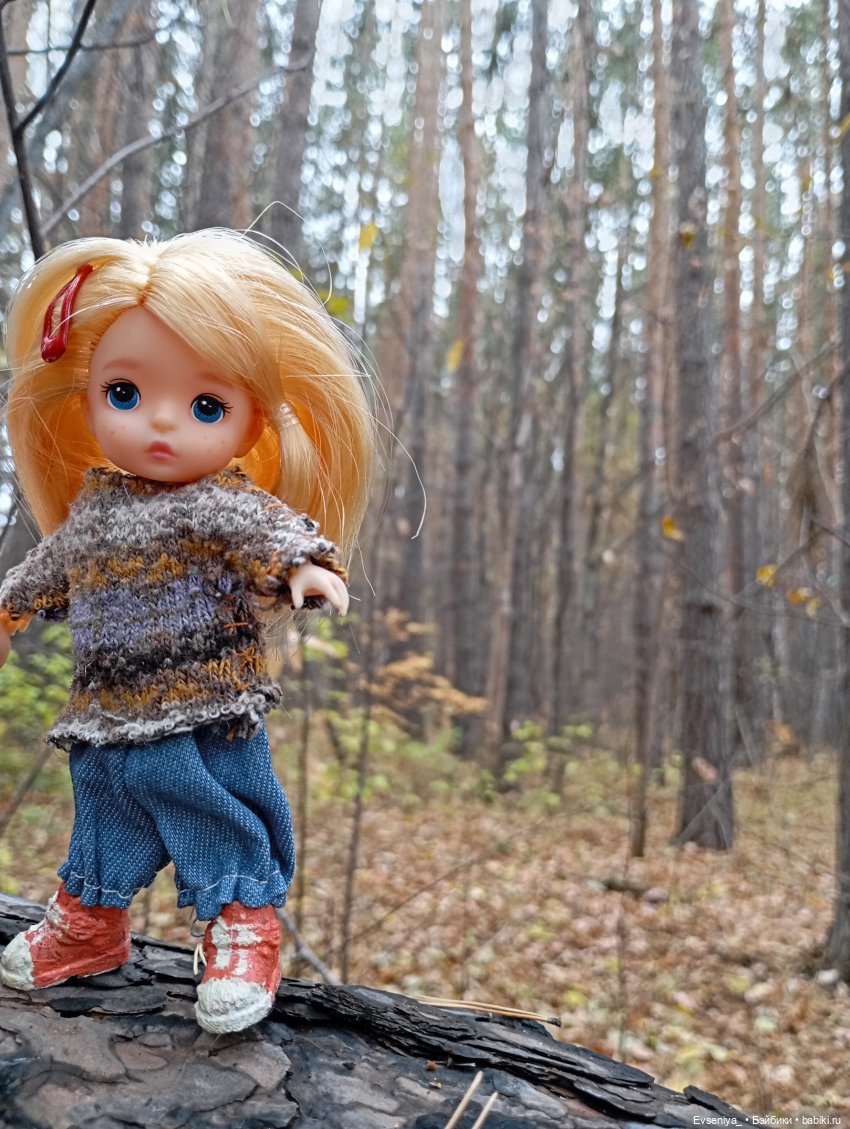 Тихая осень — Игровые куклы разных производителей (Разное): редкие бренды