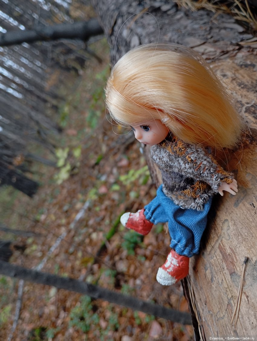 Тихая осень — Игровые куклы разных производителей (Разное): редкие бренды