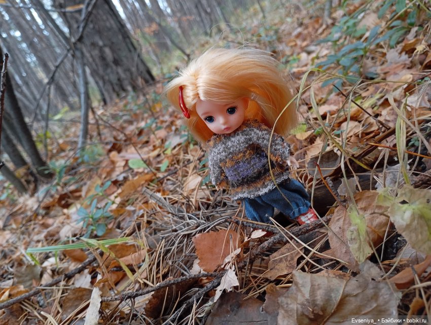 Тихая осень — Игровые куклы разных производителей (Разное): редкие бренды