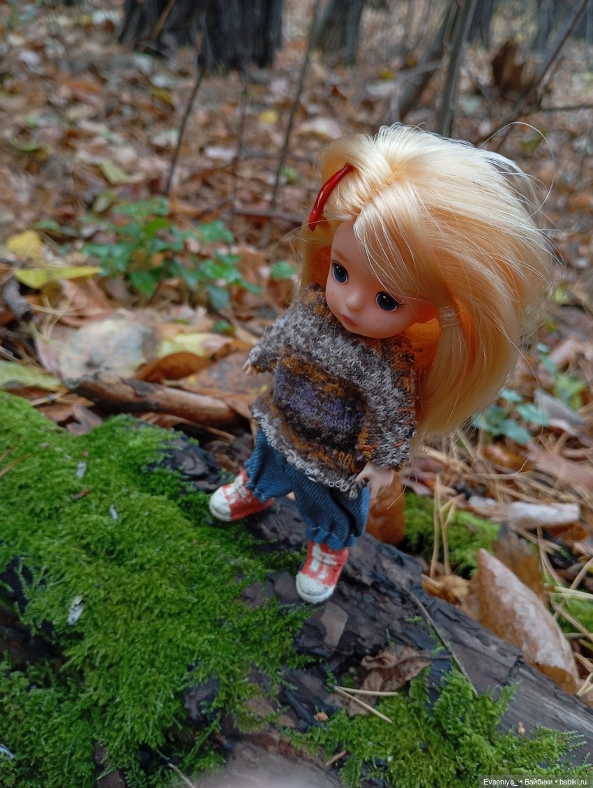 Тихая осень — Игровые куклы разных производителей (Разное): редкие бренды