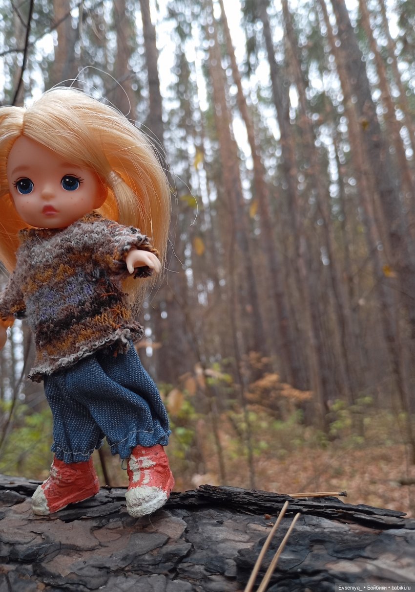 Тихая осень — Игровые куклы разных производителей (Разное): редкие бренды