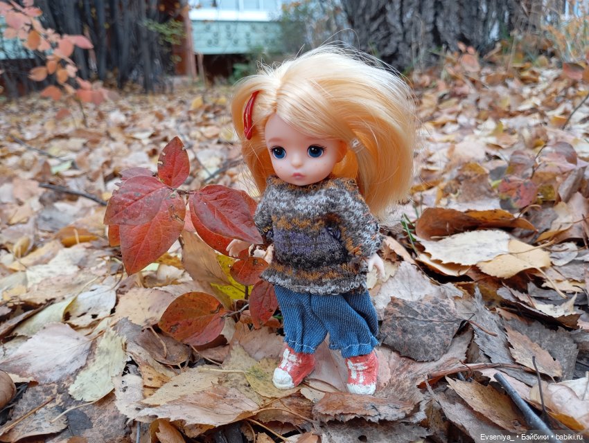 Тихая осень — Игровые куклы разных производителей (Разное): редкие бренды (фото 5)
